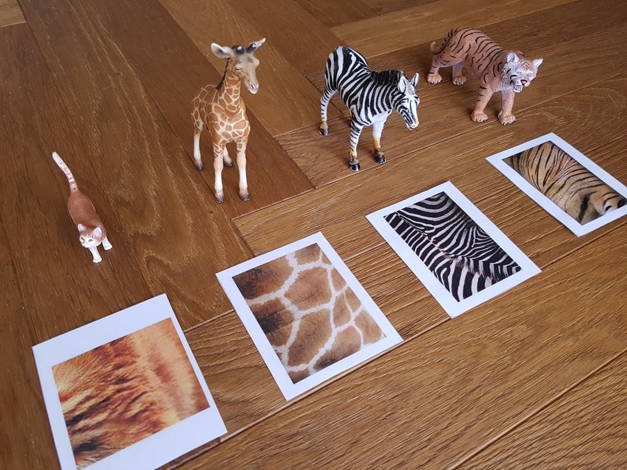 figurki zwierząt zabawa z kartami