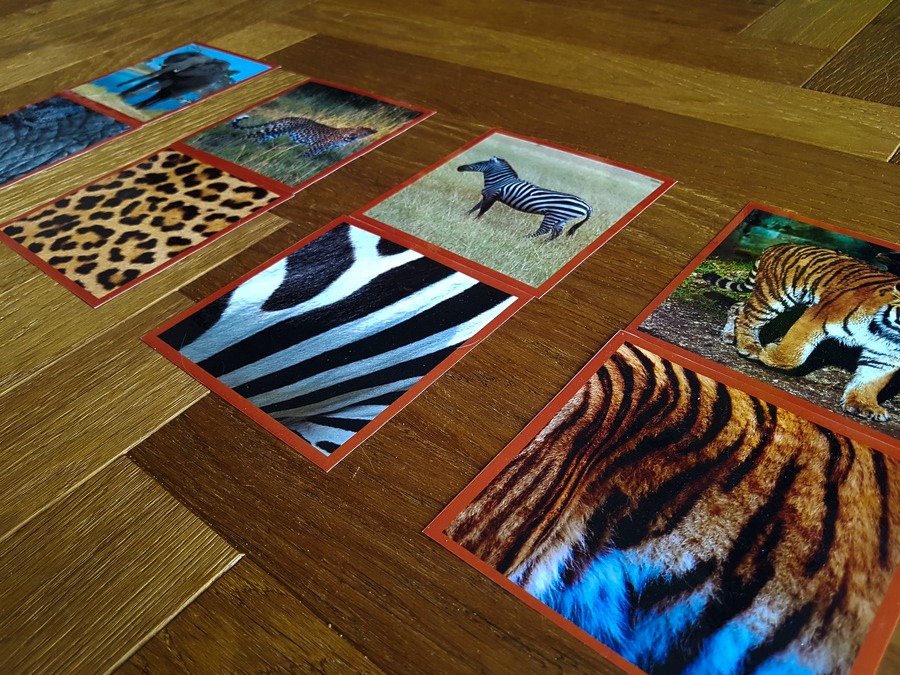 karty ze zwierzętami montessori