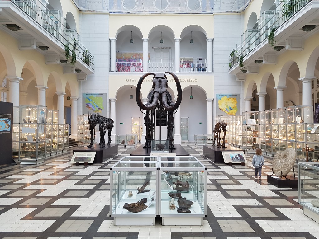 muzeum geologiczne w warszawie